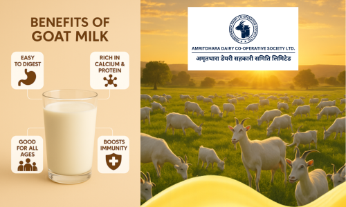 Amritdhara Goat Milk Dairy Project